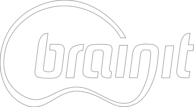 Brainit LLC corporate logo